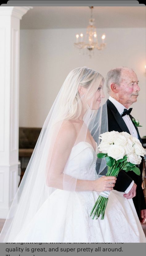 Wedding hair down with veil