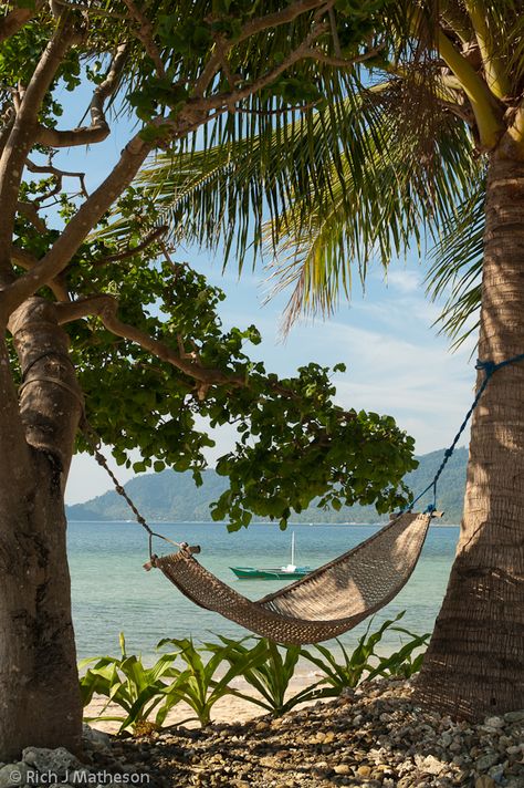 Beach With Hammock, Hammock By The Beach, Pirate Hammock, House On Beach Aesthetic, Beach Aesthetic House, Tropic Aesthetic, Tropical Hammock, Beach House Hawaii, Tropical Beach Aesthetic