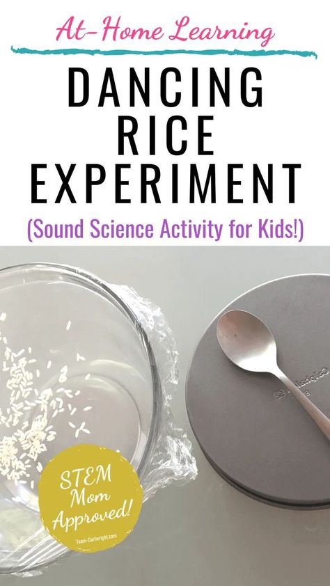 Sound Stem Activities, Sound Energy Activities, Dancing Rice Experiment, Dancing Rice, Teaching Sound, Sound Experiments, Music Activities For Kids, Sound Science, Science Experiments For Kids