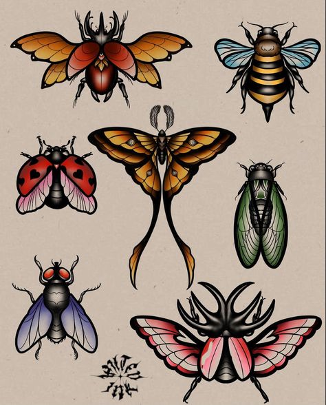 Bug flash available in colour or black and grey ! Dm to book- apprentice rates - - - - - - - - #tattoo #tattooflash #perth #perthtattoo #flashtattoo #insecttattoo #neotrad #neotraditional #colourtattoos Leaf Insect Tattoo, Lima Bean Tattoo, Tattoo Flash Neotrad, American Traditional Beetle Tattoo, Neotraditional Moth Tattoo, Neotraditional Tattoo Flash Sheet, Cute Bug Tattoo, Traditional Bug Tattoo, Oddities Tattoo