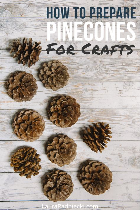 Wondering how to prepare pine cones for crafts and decor projects? This easy step by step tutorials tells you how to clean pine cones for crafts so they are clean, dry, and bug free! Ready and waiting to be turned into any of the amazing pine cone crafts you want to try! #pinecones #pineconecrafts #craftprojects #crafts #tutorial How To Make Pine Cone Flowers Diy Crafts, How To Clean Pinecones For Crafts, Pinecones Crafts, Pinecone Projects, Pinecone Art, Diy Paper Art, Pinecone Crafts, Rama Seca, Painted Pinecones