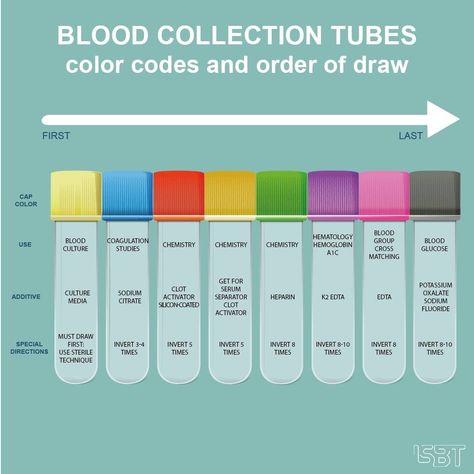 Phlebotomy Study, Medical Laboratory Science Student, Order Of Draw, Medical Lab Technician, Medical Laboratory Technician, Medical Assistant Student, Nursing School Essential, Medical School Life, Nursing School Motivation