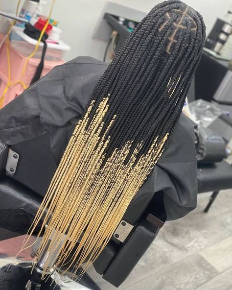 50 Box Braids Protective Styles on Natural Hair with Full Guide – Coils and Glory Box Braids With Blonde Ends, Braids With Blonde Ends, Box Braids With Blonde, Box Braids Protective Styles, Braids With Blonde, Styles On Natural Hair, Short Box Braids Bob, Braids Protective Styles, Black Box Braids