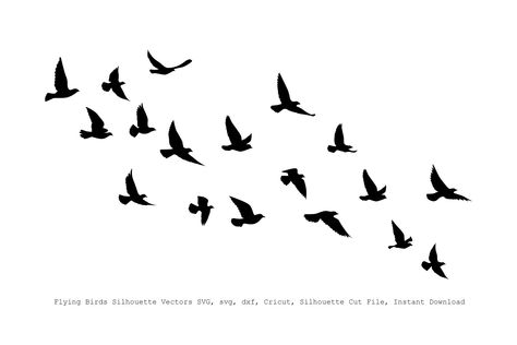 Bird Sillouhette, Bird Sillhoute, Art Homeschool, Bird Silhouette Art, Flying Bird Silhouette, Tattoo Zone, Vogel Silhouette, Memory Quotes, Birds Clipart