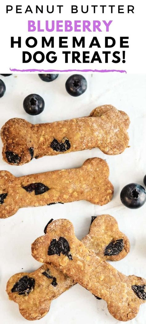 Blueberry Dog Treat Recipe, Blueberry Dog Treats, Banana Dog Treat Recipe, Dog Cookie Recipes, Peanut Butter Blueberry, Pet Treats Recipes, Easy Dog Treat Recipes, Dog Treat Recipe, Blueberry Oat