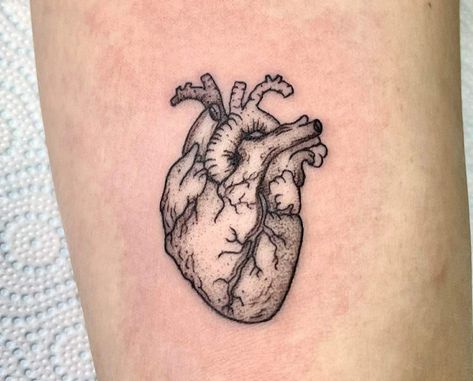 Real Heart Tattoos, Anatomical Heart Drawing, Dr Tattoo, Heart Tattoo Ideas, Heart Organ, Red Heart Tattoos, Anatomical Heart Tattoo, Single Needle Tattoo, Heart Tattoo Designs