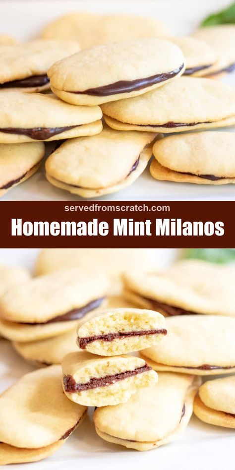 These chocolate Homemade Milano Cookies are SO delicious and surprisingly easy to make at home, from scratch!  #milano #cookies #recipe #ideas #desserts Fresh Mint Cookies, Copycat Milano Cookie Recipe, Homemade Cookies Without Eggs, Homemade Mint Milano Cookies, Mint Chocolate Cookie Recipes, Milano Cookie Recipe, Milano Cookie, Eggless Peanut Butter Cookies, Chocolate Homemade