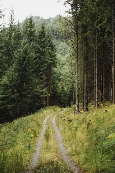 The Mountains Are Calling, Instagram Photography, Close Your Eyes, Natural Environment, Amazing Nature, Nature Pictures, Rocky Mountains, Mother Earth, Swords