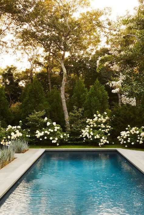 Country Pool Ideas, Brisbane House, Pool Inspiration, Pretty Homes, Pool Landscape Design, Backyard Pool Landscaping, Dream Pools, Backyard Inspiration, Dress Guide