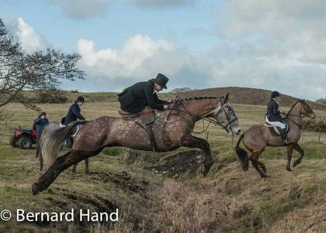 Aoife Byrne out with the Ballymacad Hounds Sidesaddle Riding, 3 Horses, Side Saddle, English Country Decor, English Riding, Fox Hunting, On Horseback, British Countryside, All The Pretty Horses