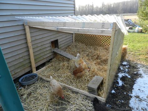 Chicken Shelter, Chicken Ranch, Building Things, Chicken Coop Run, Coop Ideas, Coop Design, Raising Backyard Chickens, Keeping Chickens, And So It Begins