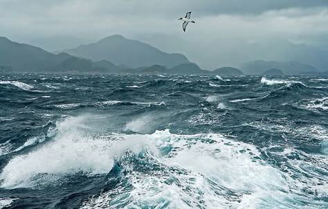 angry sea Ocean Storm, Sea Storm, Southern Ocean, Stormy Sea, Landscape Photography Nature, Buy Wall Art, Sea Waves, Big Waves, Sea And Ocean