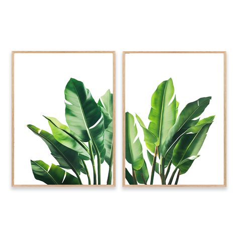 PRICES MAY VARY. [Tropical Leaves Wall Art Size]:Canvas print size is 12x16inch(30x40cm).2pcs banana palm poster(No frame),0.5-1cm white border around the canvas.Rolled up and packed in round tube packaging. [Perfect Canvas Art Design]:A perfect wall decorations paintings for living room,bedroom,kitchen,office,hotel,dining, bar etc,Great Gifts for Your Relatives and Friends on Anniversary,Thanksgiving,Christmas, Mother's Day,Father's Day. [High Quality]:HD printing, high-quality thick canvas,lon Monstera Poster, Palm Leaf Wall Art, Botanical Print Set, Tropical Leaf Print, Leaves Print, Leaf Wall Art, Painted Leaves, Bathroom Wall Art, Leaf Art