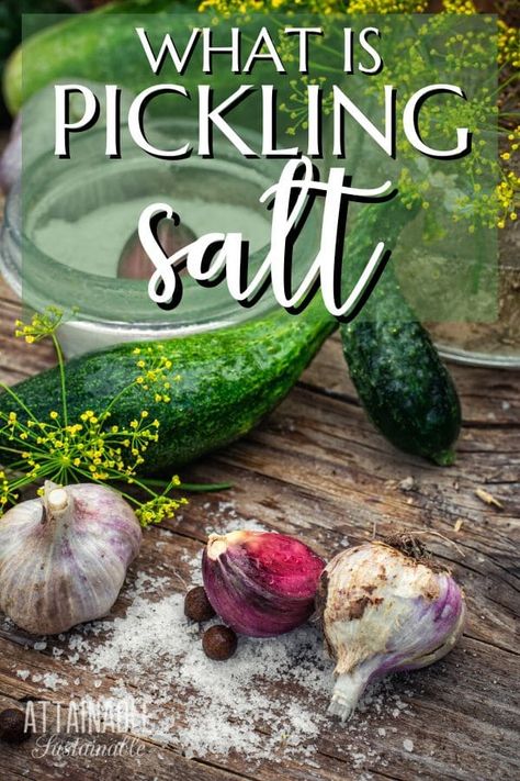 Pickling Salt Substitute, Salt Differences, Preparation Of Salts Chemistry, Types Of Salt, A&w Seasoning Salt Recipe, Canning Salt, Pickling Salt, Water Bath Canning, Garlic Head