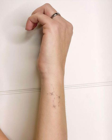 Star Sign Constellation Tattoo, Pisces Star Tattoo, Sign Constellation Tattoo, Pisces Constellation Tattoo, Pisces Constellation, Constellation Tattoo, Star Tattoo, Tattoo Women, Constellation Tattoos