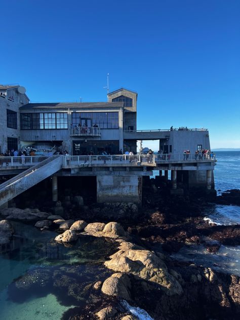 Monterey Bay Aquarium Aesthetic, Monterey California Aesthetic, Monterey Aesthetic, Ocean Aesthetics, Aptos California, Monterey Beach, Monterey Bay California, California Trip, Carmel California