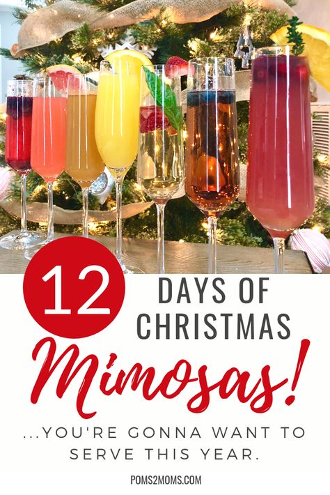 Christmas Brunch Drinks, Mimosa Recipes, Christmas Drinks Recipes, Christmas Drinks Alcohol, Champagne Drinks, Mimosa Recipe, Brunch Drinks, Christmas Punch, Christmas Mimosa