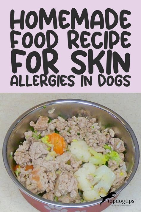 Recipe: Homemade Dog Food for Skin Allergies Skin Allergies In Dogs, Homemade Dog Food Vet Approved, Allergies In Dogs, Dog Skin Allergies, Foods Dogs Can Eat, Dog Food Allergies, Dog Food Recipe, Easy Dog Treat Recipes, Diy Dog Food