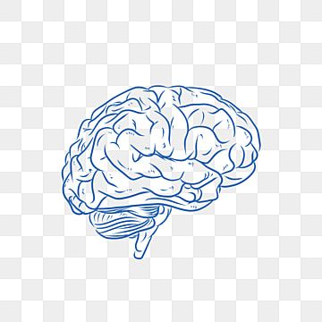 Brain Png Aesthetic, Brain Vector Illustration, Brain Illustration Creative, Brain Drawing Simple, Brain Clipart, Brain Png, Brain Pictures, Brain Thinking, Brain Graphic