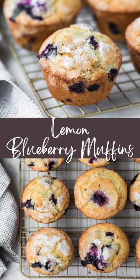 Frozen Blueberry Muffins, Lemon Blueberry Muffins Recipe, Mini Blueberry Muffins, Mini Muffin Recipe, Easy Blueberry Muffins, Simple Muffin Recipe, Lemon Blueberry Muffins, Healthy Muffin Recipes, Lemon Muffins