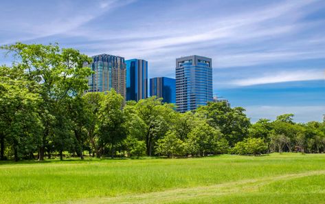 City park under blue sky with building b... | Premium Photo #Freepik #photo #background Building Background Landscape, Background Images Landscape, Yt Background, Land Background, Jeep Images, Hdri Images, Hd Sky, Background Tree, Park Background