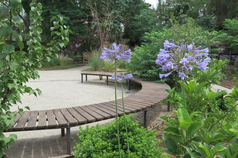 Therapeutic Garden Design in Chile – The Field Wellness Garden Design, Healing Garden Design Hospital, Therapeutic Garden Design, Community Garden Design, Healing Garden Design, Community Park Design, City Parks Design, Therapeutic Garden, Hospital Garden