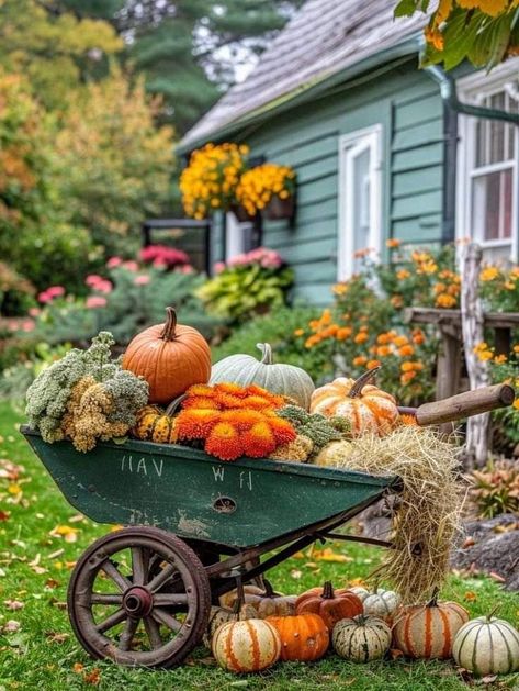 Garden Shed Fall Decor, Autumn Backyard Decor, Fall Outdoor Display Ideas, Pumpkin Decorations Outdoor, Outdoor Fall Display, Autumn Garden Decoration, Fall Front Yard Landscaping, Pumpkin Displays Outside, Fall Backyard Decor