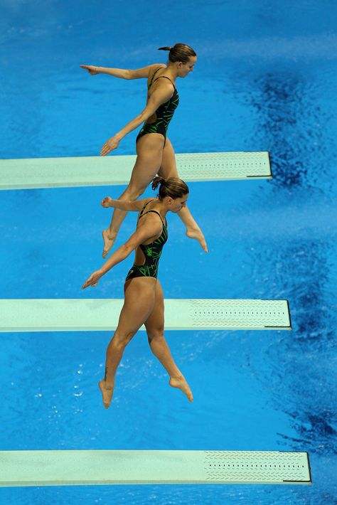 Olympic Divers, Rowing Technique, Springboard Diving, Olympic Diving, High Diving, Diving Springboard, Spring Board, Diving Boards, Women's Diving