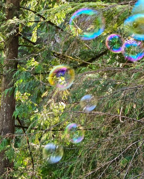 Iridescent bubbles float over trees in a forest Nature Fairy, Ethereal Fairy, Whimsical Nature, Ethereal Aesthetic, Forest Trees, Aesthetic Backgrounds, Cute Pictures, Bubbles, Trees