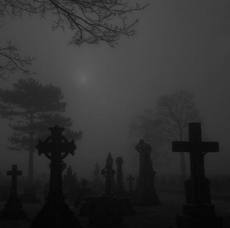 Cemetery Black And White, Cemetary Aesthetic Night, Dark Cemetary Aesthetic, Morticyles Aesthetic, Dark Silver Aesthetic, Snowy Graveyard, Goth Cathedral, Dark Grey Aesthetic, Goth Images