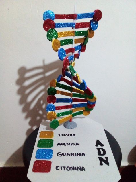 Dna Double Helix Model Projects, Dnk Model Diy, Dna Model Project Ideas Biology, Dna Paper Model, Dna Model Project Ideas, Dna Structure Model, Dna Double Helix Model, Atom Activities, Model Dna