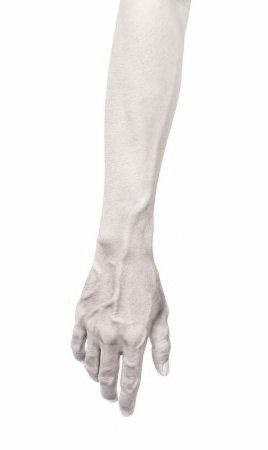 Arm Aesthetic, Model Anatomy, 3d Anatomy, Body Template, Leg Tattoos Women, Body Photography, Queer Art, Body Reference, Anatomy Reference