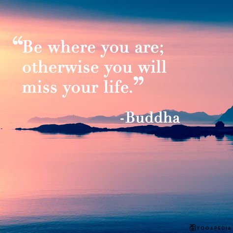 Stay Present Quotes, Present Quotes, Quotes Buddha, Be Present Quotes, Buddha Quotes Life, Stay Present, Wanderlust Quotes, 2020 Vision, Inner Peace Quotes