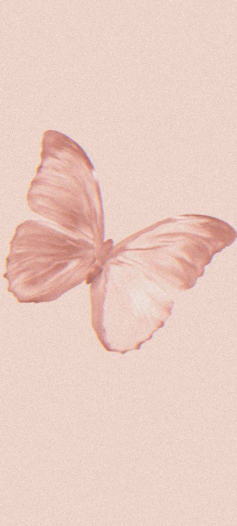 Pink Butterfly, Insects, Pink, Quick Saves