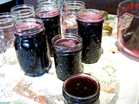 Cardamom Grape Jelly Grape Jam Recipe, Lavender Jam, Blackberry Jam Recipes, Blueberry Lavender, Peach Butter, Can Jam, Blueberry Mint, Grape Jam, Blackberry Jam