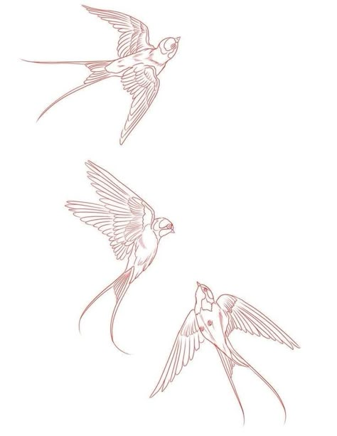 Bird Tattoo Traditional, Traditional Hummingbird Tattoo, Swallow Tattoo Ideas, Traditional Hummingbird, Swallows Tattoo, Sparrow Tattoos, Neck Tats, Swallow Bird Tattoos, Cupid Tattoo