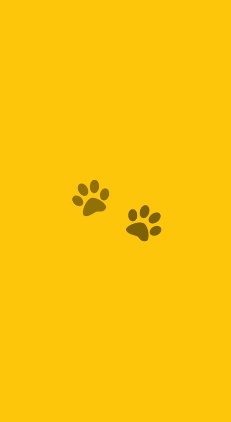 Yellow Cat Wallpaper, Yellow Cat Drawing, Yellow Kittens, Paw Wallpaper, Cats Paw, Iphone Wallpaper Yellow, Kitten Wallpaper, Yellow Animals, Cat Background