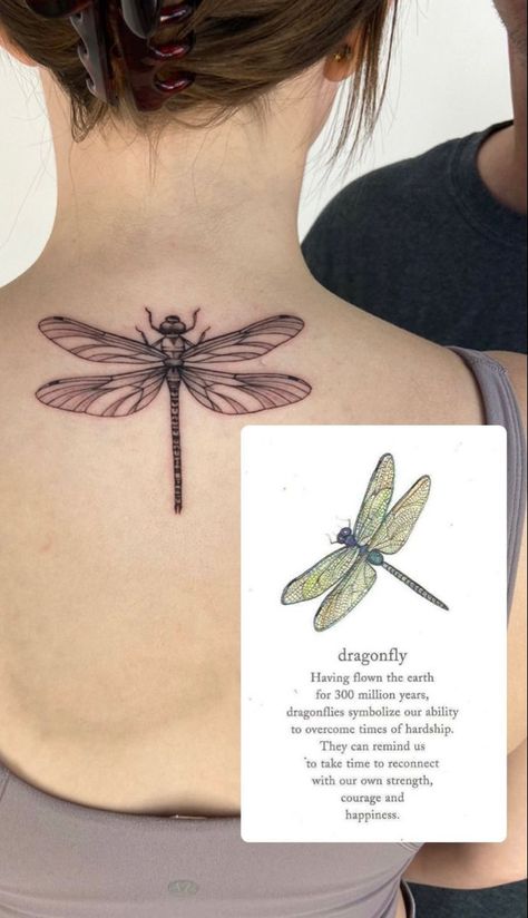 Dragonfly Back Tattoo Women Spine, Dragonfly Tattoo Thick Lines, Dragonfly Elbow Tattoo, Dragon Fly Line Tattoo, Linework Dragonfly Tattoo, Line Art Dragonfly Tattoo, Dragonfly Spine Tattoos For Women, Aesthetic Dragonfly Tattoo, Dragonfly Tattoo On Leg