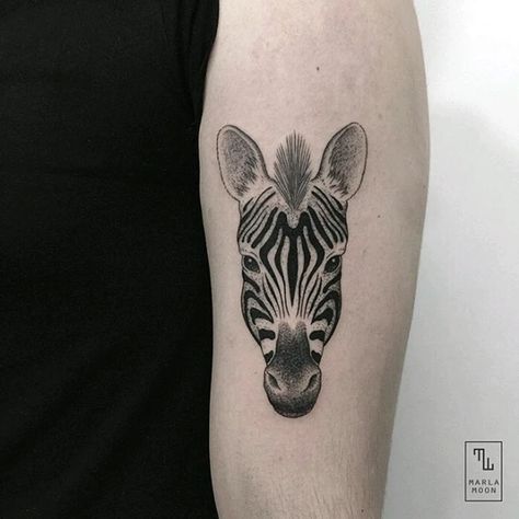 Tattoo uploaded by Claire • By #marlamoon #zebra #minimalist #animal #nature #blackwork • Tattoodo Zebra Tattoo For Women, Zebra Tattoo Design, Zebra Tattoo Small, Eds Tattoo, Zebra Tattoo Ideas, Net Tattoo, Zebra Tattoo, Zebra Tattoos, Small Cross Tattoo