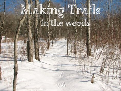 Creating Paths In Woods, Creating Trails In Woods, Walking Trails Design, Lakehouse Backyard Landscaping, Diy Walking Trail, How To Make Trails In The Woods, Woodland Homestead, Lakehouse Backyard, Trails In The Woods