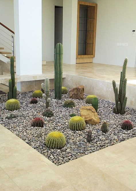 Cactus Flower Bed Front Yards, Jardin Cactus Exterior, Small Cactus Garden Outdoor, Cactus Front Yard Landscaping, Cactus Garden Outdoor, Xeroscaping Backyard, Succulent Front Yard Landscaping, Succulent Front Yard, Drought Tolerant Landscape Front Yard