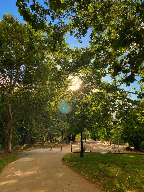 Walk Aesthetic Pictures, Neighborhood Walk Aesthetic, Park Asthetic Picture, Walks In The Park, Walking Park Aesthetic, Walk Outside Aesthetic, Walking Astethic, Park Astethic, Nature Walks Aesthetic