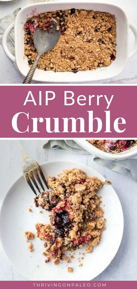 Paleo Berry Crisp, Easy Aip Dessert Recipes, Aip Apple Crumble, Aip Blackberry Recipes, Aip Breakfast Bars, Aip Diet Recipes Dinners, Aip Recipes With Dates, Aip Carbs, Aip Elimination Phase Recipes