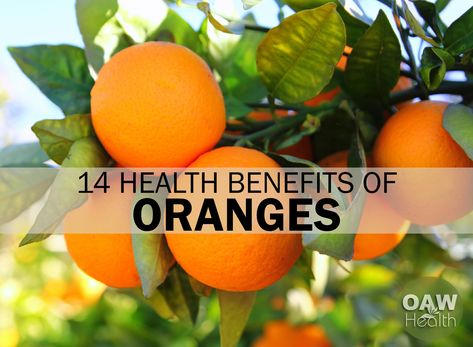 As one of the fruits with the most vitamin C, the health benefits of oranges are many. Check out the top 14 health benefits of oranges. Orange Tundra, Benefits Of Oranges, Oranges Benefits, Lemon-lime Soda, Fruit Benefits, Citrus Fruits, Best Blogs, Marriage Life, Strawberry Lemonade