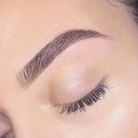 Lashes And Eyebrows, Eyebrows Goals, Eyebrow Care, Eyebrow Shapes, Plucking Eyebrows, Eyebrow Design, Filling In Eyebrows, Thin Eyebrows, How To Grow Eyebrows