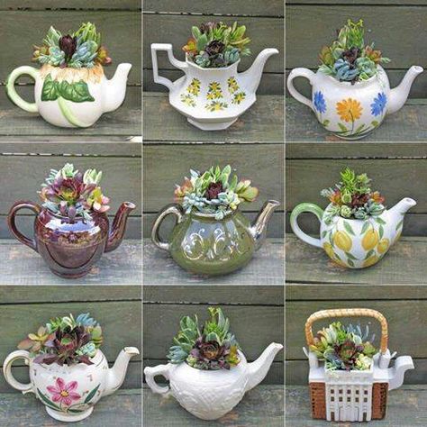 Lovely idea! Kaktus Dan Sukulen, Teacup Gardens, Tanaman Indoor, نباتات منزلية, Succulent Garden Diy, Kraf Diy, Growing Succulents, Succulent Gardening, Succulent Terrarium