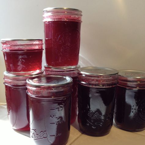 Seedless Raspberry Jam Recipe, Make Grape Jelly, Canning Tutorial, Preserve Vegetables, Seedless Raspberry Jam, Making Jelly, Raspberry Cordial, Concord Grapes, Raspberry Jam Recipe