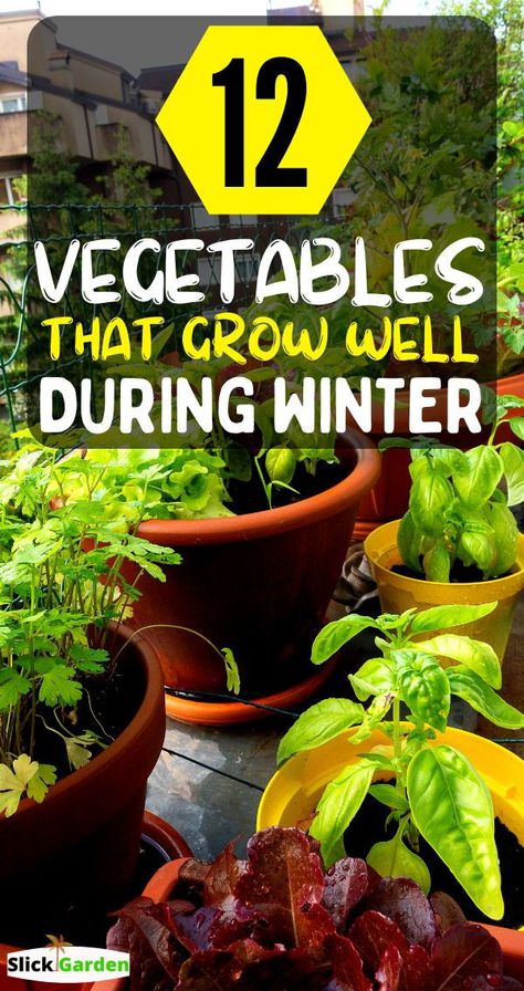 Growing Winter Vegetables, Growing Vegetables In Pots, Winter Veggies, Tattoo Plant, Winter Vegetables Gardening, Vegetables To Grow, List Of Vegetables, Fall Garden Vegetables, Backyard Vegetable Gardens