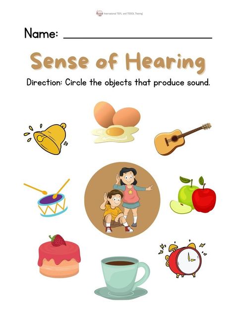 Direction: Circle the objects that produce sound. Sense Of Hearing Worksheet, Abc Order Worksheet, Snowman Writing, Speech Therapy Worksheets, Sense Of Hearing, Character Worksheets, Senses Activities, Ecommerce Website Template, Kids Worksheets Preschool