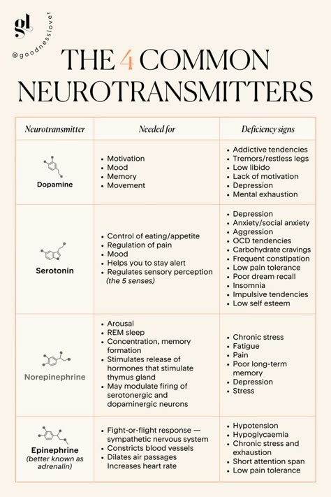 How The Brain Works Psychology, Feel Good Hormones, Healing The Brain, Neurotransmitters And Mental Health, Neurotransmitters Dopamine, Regulate Nervous System, Psychological Diseases, Function Of The Heart, Anatomy Of The Brain